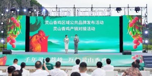 灵山香鸡365道菜刷新世界纪录 ‘一鸡百味’惊艳亮相