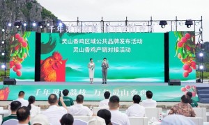 灵山香鸡365道菜刷新世界纪录 ‘一鸡百味’惊艳亮相